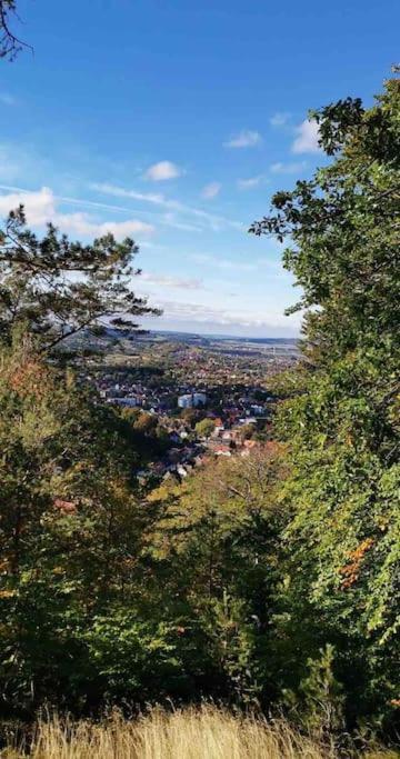 Ferienwohnung Am Burgberg In Bad Harzburg Dış mekan fotoğraf